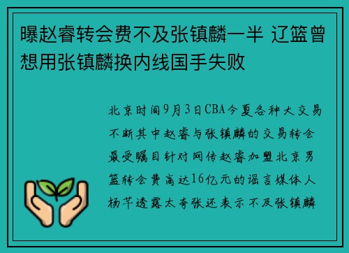 曝赵睿转会费不及张镇麟一半 辽篮曾想用张镇麟换内线国手失败